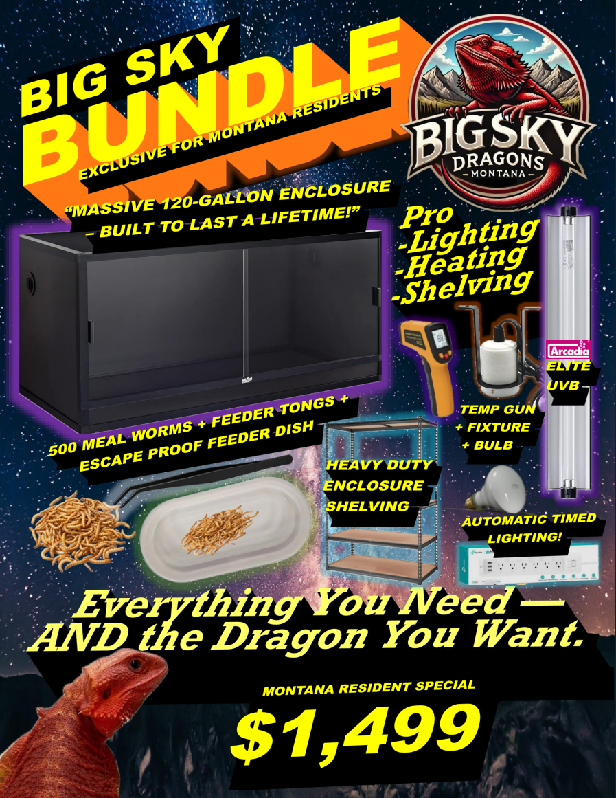 The Big Sky Bundle™ complete bearded dragon habitat setup